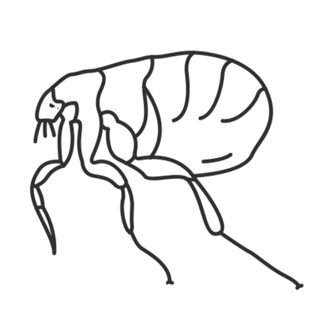 Flea Removal Birmingham Alabama